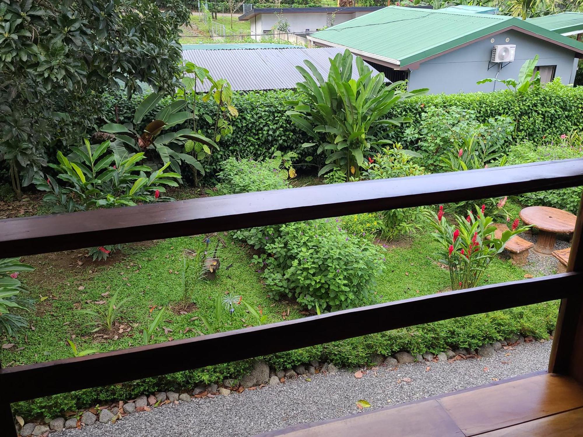 Arenal Sweet Cabins La Fortuna المظهر الخارجي الصورة